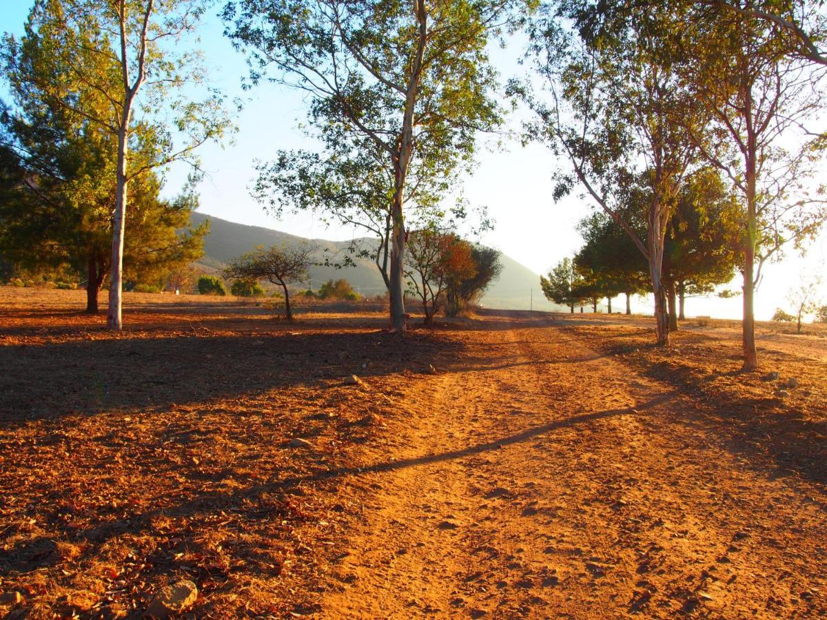 Casa Mayoral B&B Pet Friendly Valle de Guadalupe Esterno foto