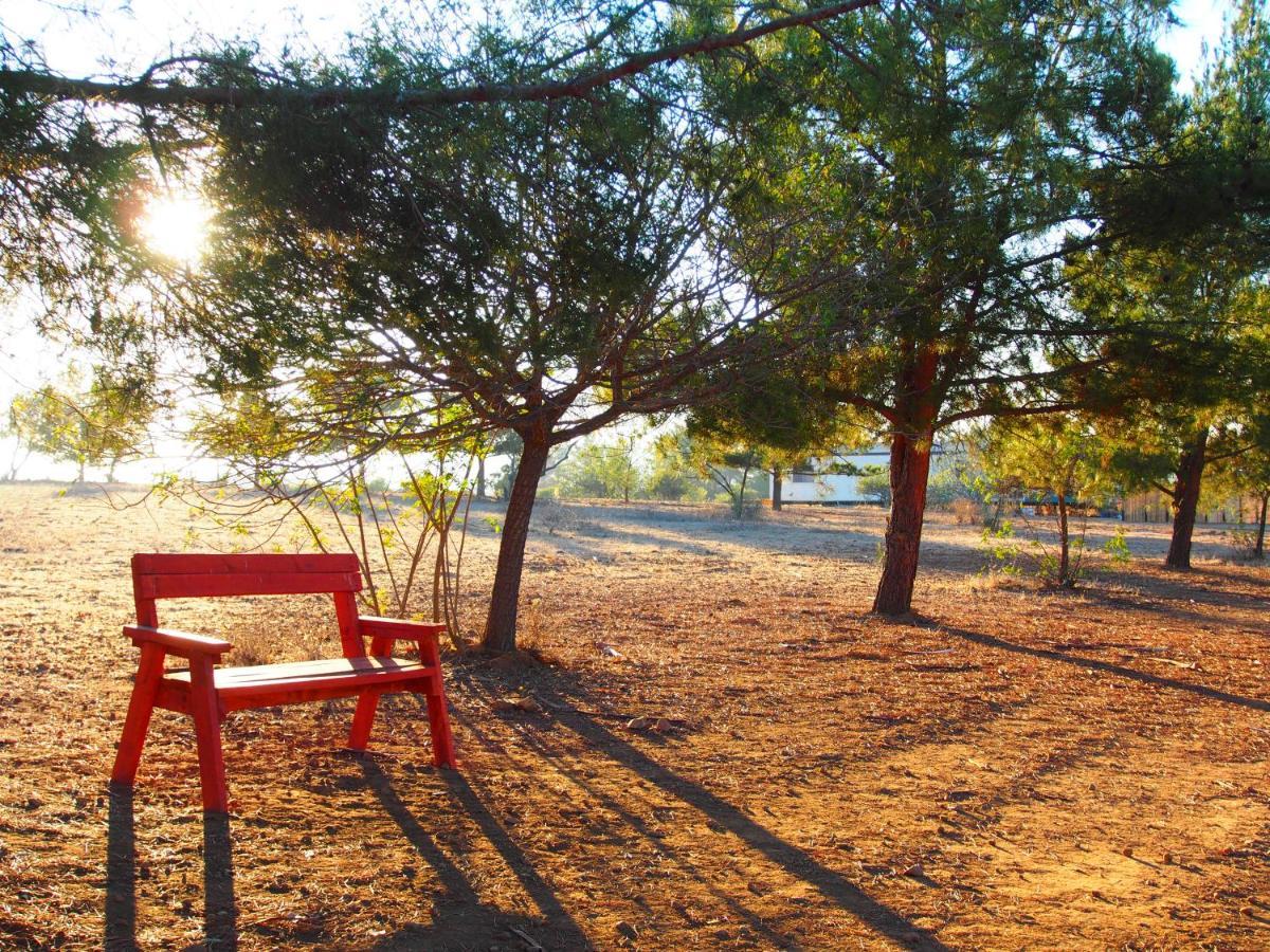 Casa Mayoral B&B Pet Friendly Valle de Guadalupe Esterno foto