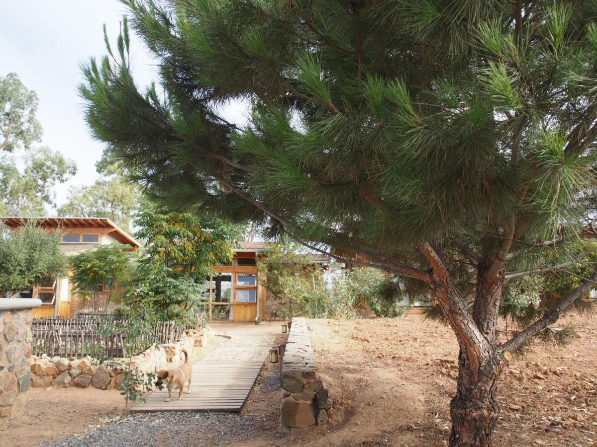 Casa Mayoral B&B Pet Friendly Valle de Guadalupe Esterno foto