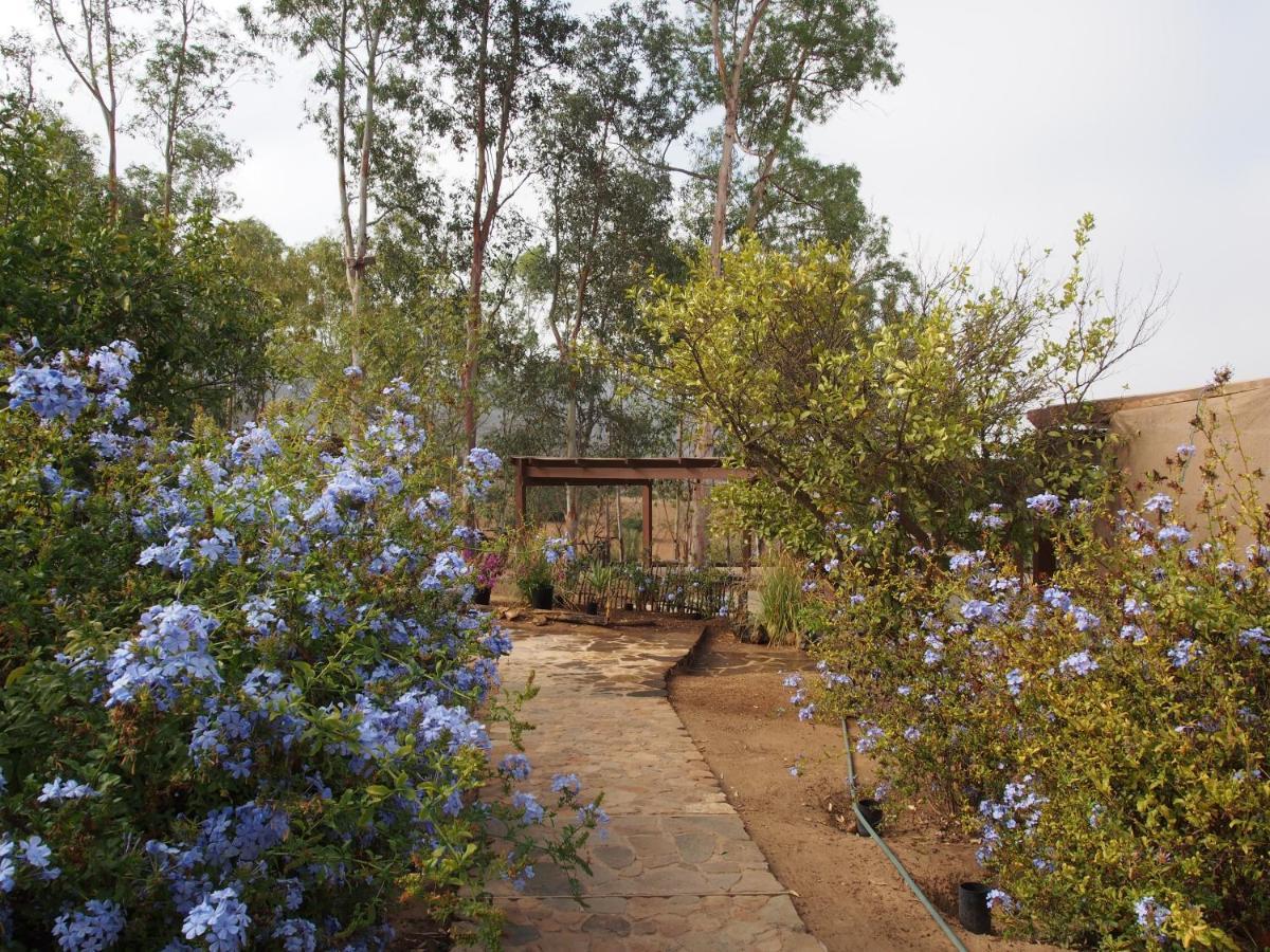 Casa Mayoral B&B Pet Friendly Valle de Guadalupe Esterno foto
