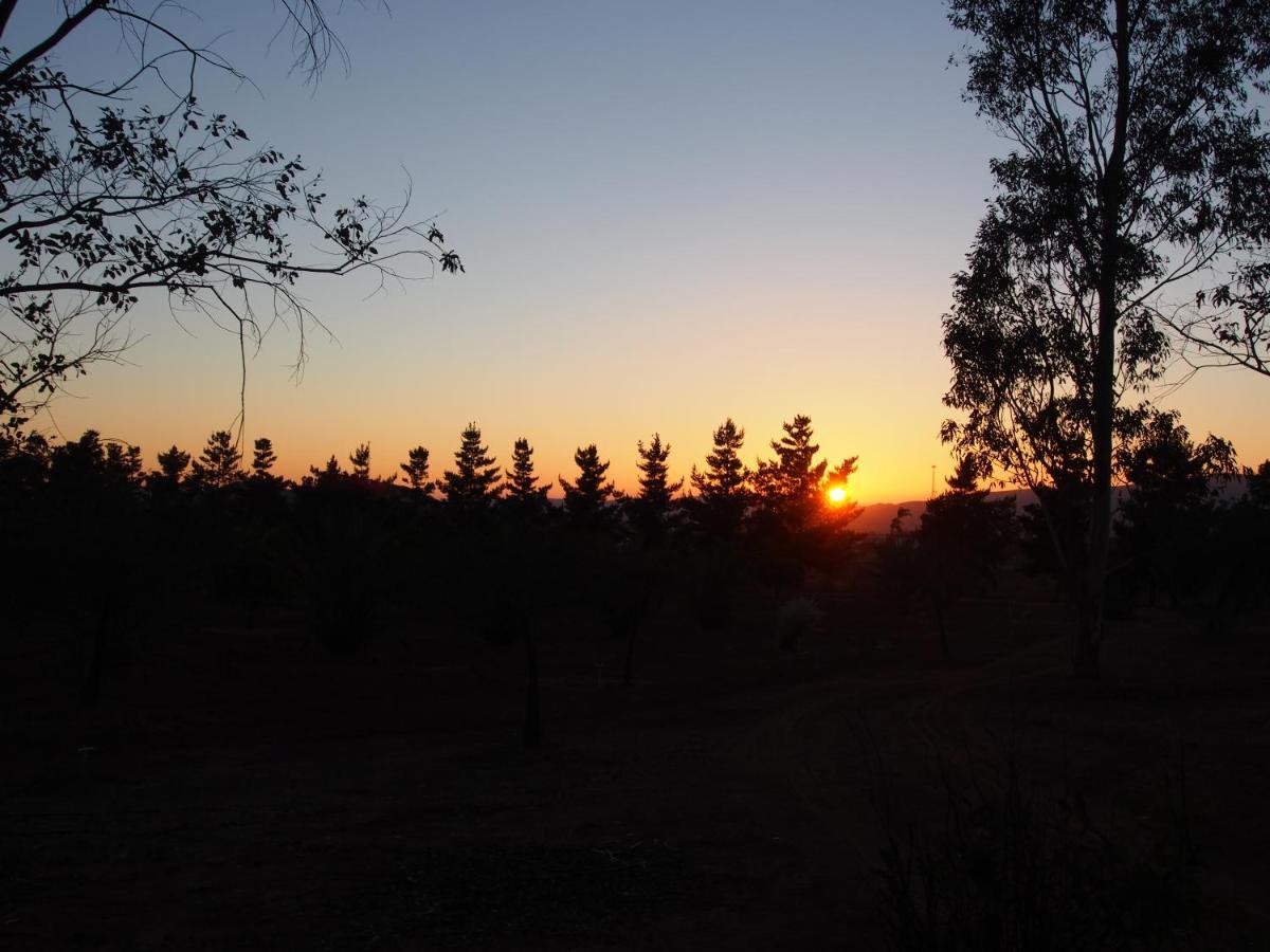Casa Mayoral B&B Pet Friendly Valle de Guadalupe Esterno foto