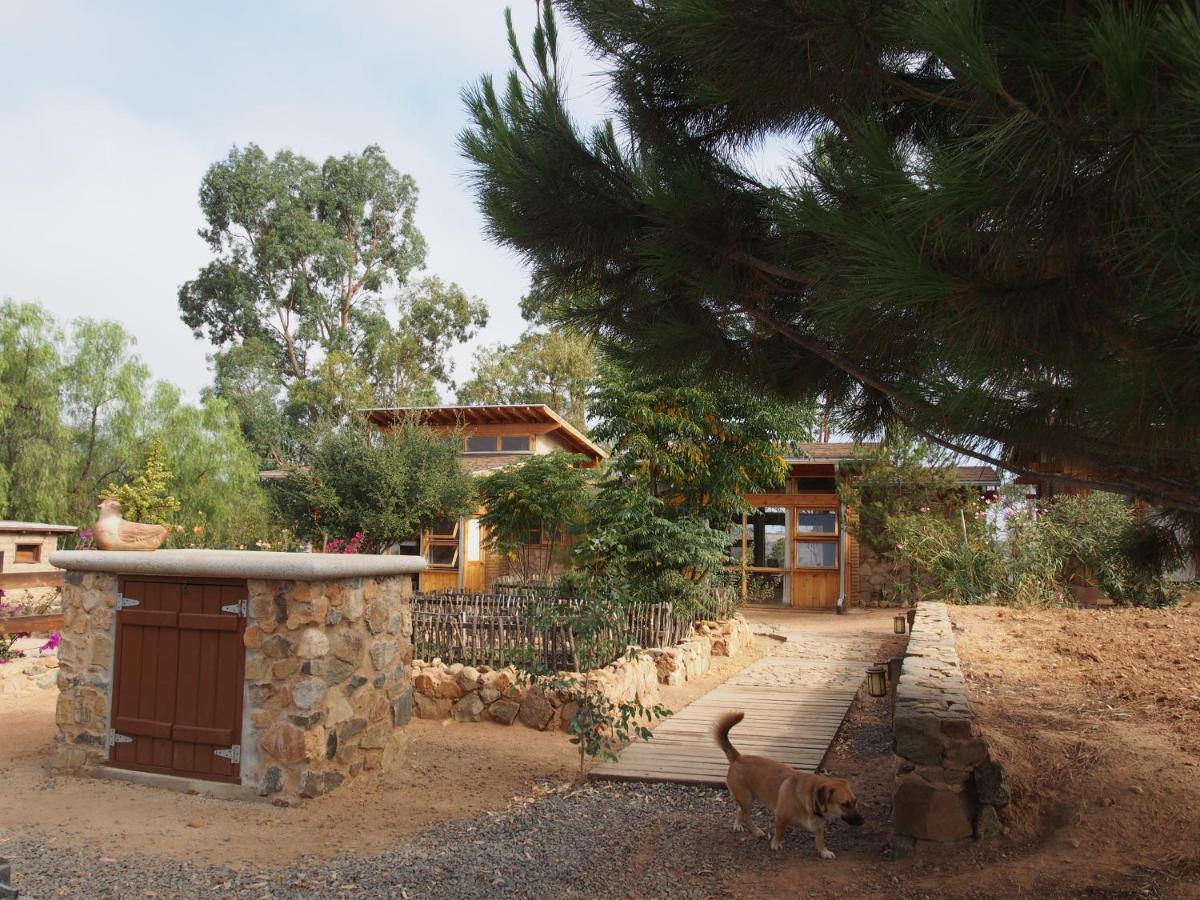 Casa Mayoral B&B Pet Friendly Valle de Guadalupe Esterno foto