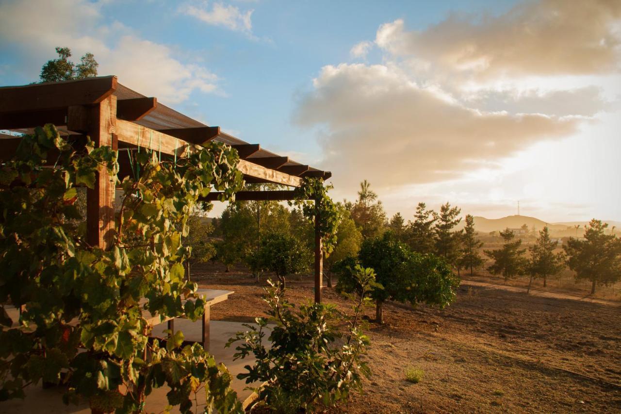 Casa Mayoral B&B Pet Friendly Valle de Guadalupe Esterno foto