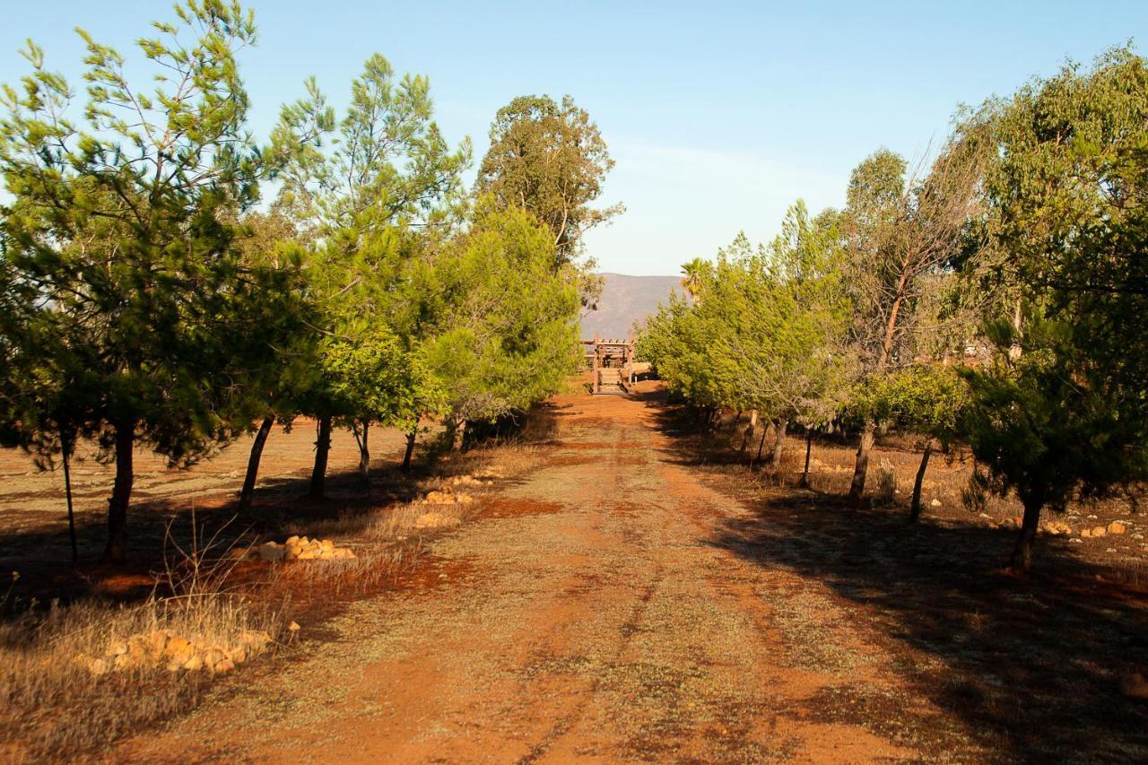 Casa Mayoral B&B Pet Friendly Valle de Guadalupe Esterno foto