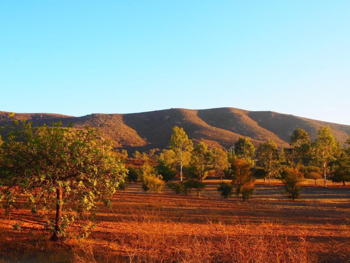 Casa Mayoral B&B Pet Friendly Valle de Guadalupe Esterno foto