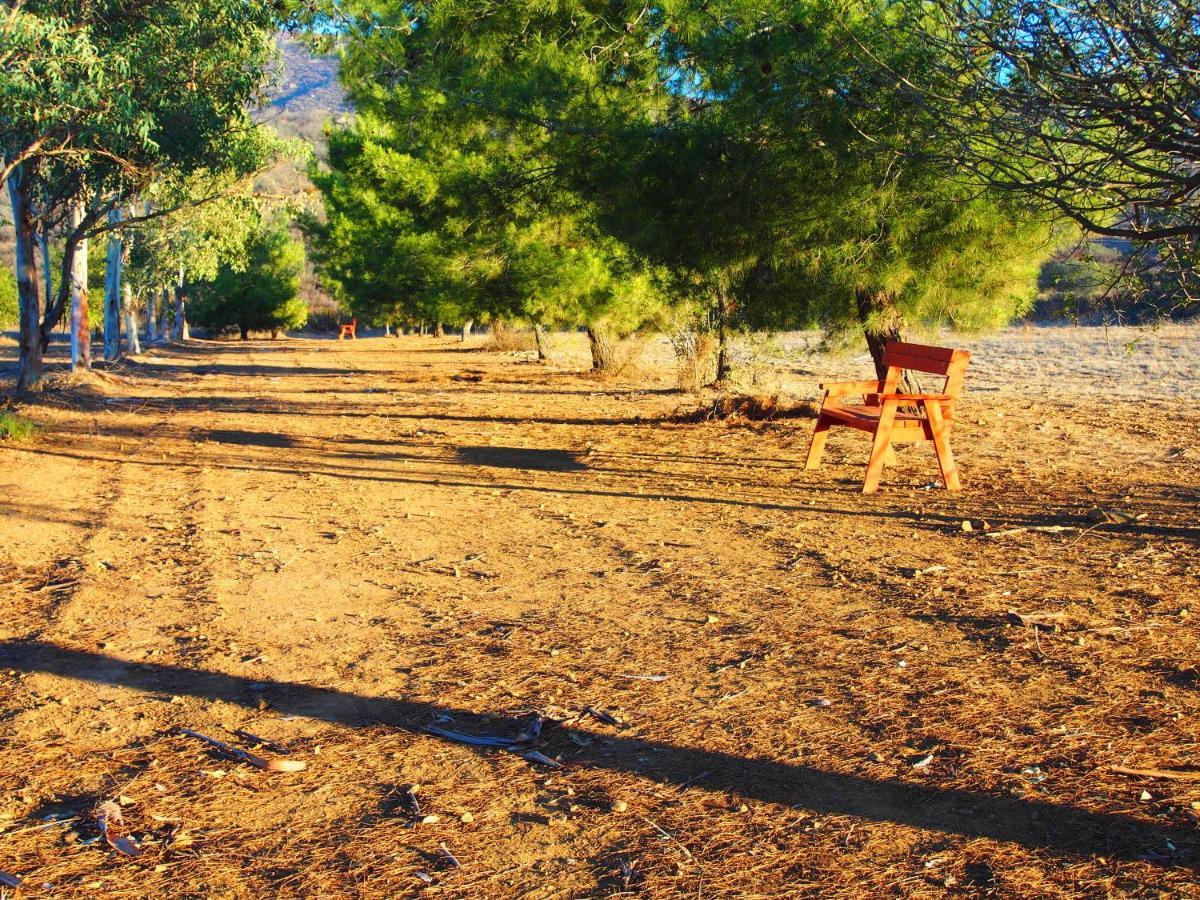 Casa Mayoral B&B Pet Friendly Valle de Guadalupe Esterno foto