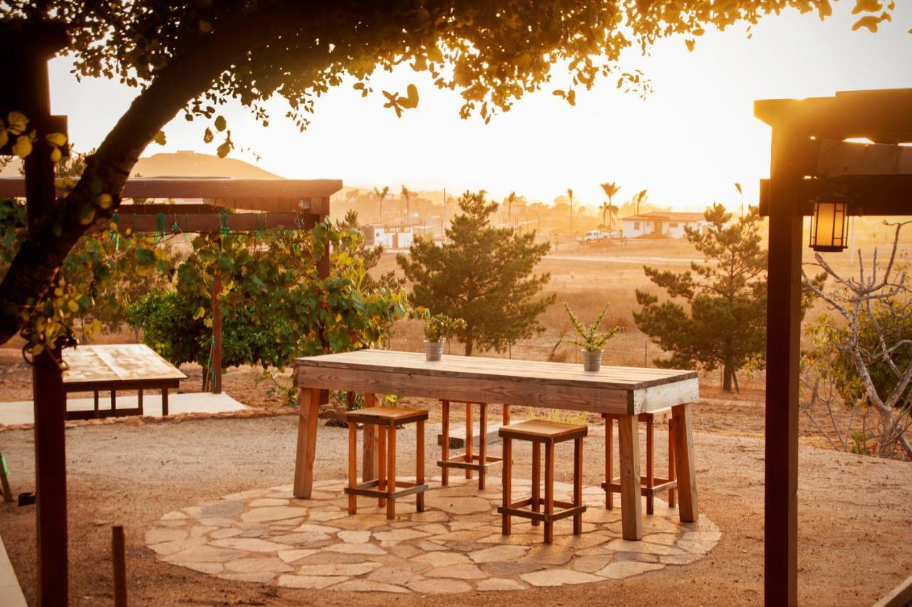 Casa Mayoral B&B Pet Friendly Valle de Guadalupe Esterno foto