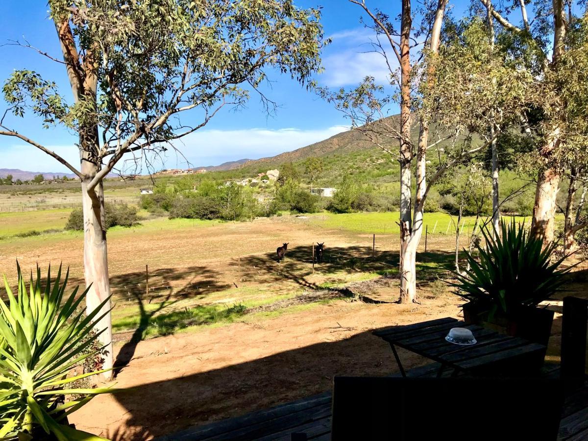 Casa Mayoral B&B Pet Friendly Valle de Guadalupe Esterno foto