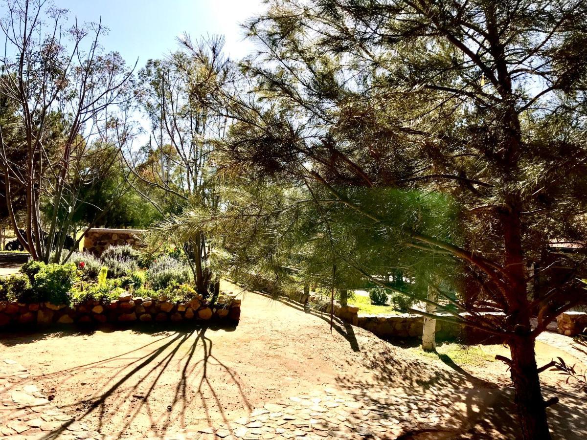 Casa Mayoral B&B Pet Friendly Valle de Guadalupe Esterno foto