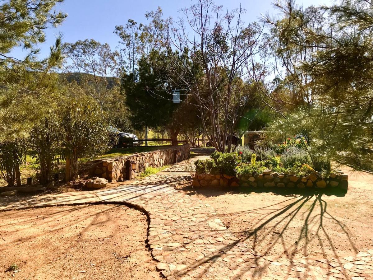Casa Mayoral B&B Pet Friendly Valle de Guadalupe Esterno foto