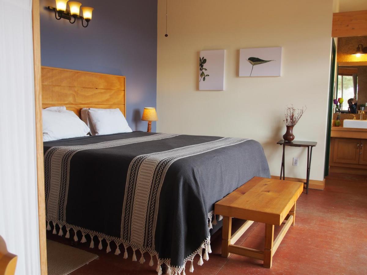Casa Mayoral B&B Pet Friendly Valle de Guadalupe Esterno foto